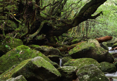 Top 5 Eco-Friendly Destinations You Must Visit in 2026