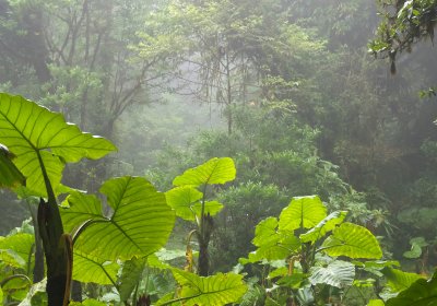 Why Regenerative Travel Matters: Moving Beyond Sustainability