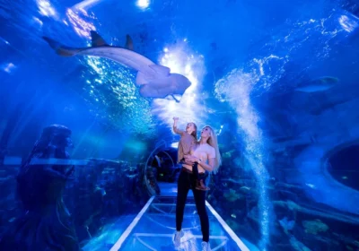 Private Combo Tour from Reykjavik: South Coast with Diamond Beach