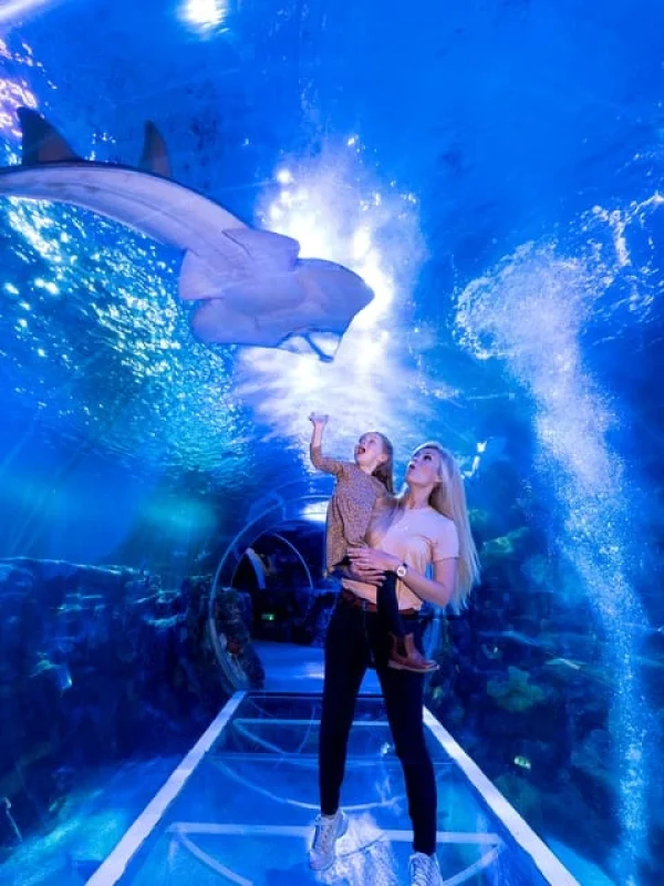 Private Combo Tour from Reykjavik: South Coast with Diamond Beach