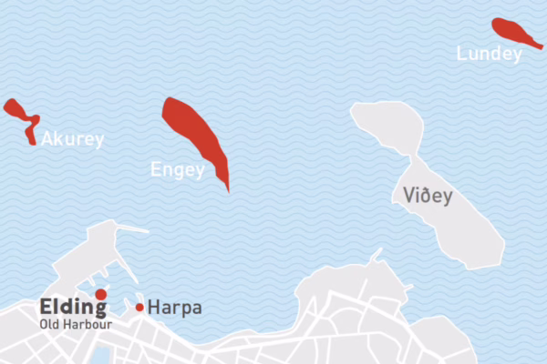 Reykjavík Classic Puffin Watching