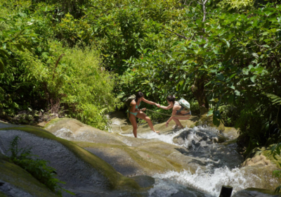 Chiang Mai : Bua Thong Sticky Waterfall and Huge Cave Tour