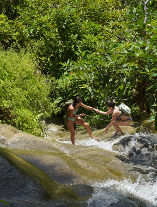 Chiang Mai : Bua Thong Sticky Waterfall and Huge Cave Tour