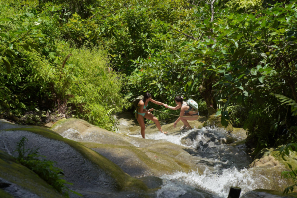 Chiang Mai : Bua Thong Sticky Waterfall and Huge Cave Tour
