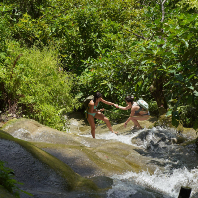 Chiang Mai : Bua Thong Sticky Waterfall and Huge Cave Tour