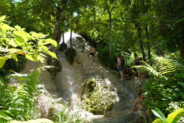 Chiang Mai : Bua Thong Sticky Waterfall and Huge Cave Tour