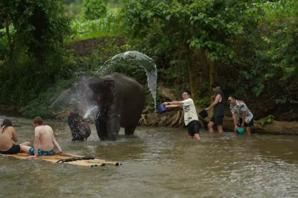 Chiang Mai : Bua Thong Sticky Waterfall and Huge Cave Tour