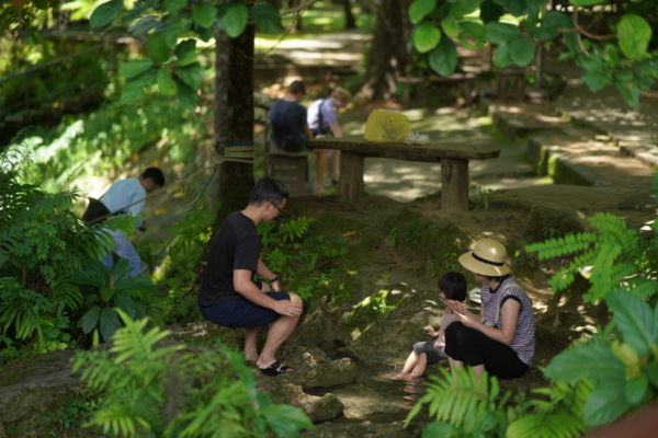 Chiang Mai : Bua Thong Sticky Waterfall and Huge Cave Tour