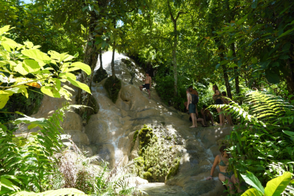 Chiang Mai : Bua Thong Sticky Waterfall and Huge Cave Tour