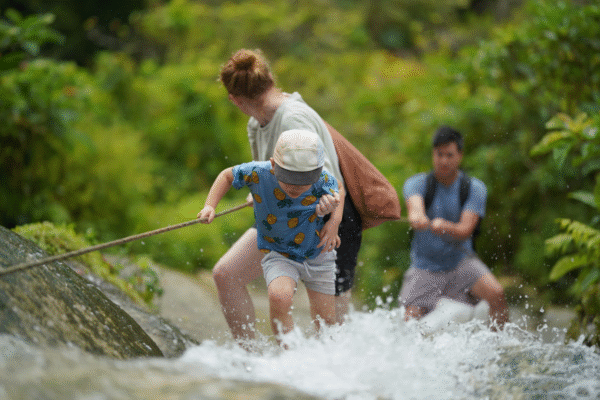 Chiang Mai: Bua Thong Sticky Waterfall and Huge Cave Tour
