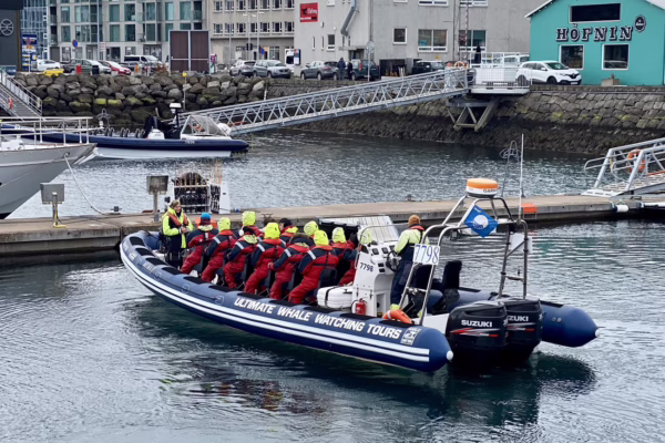 Reykjavík Premium Whale Watching