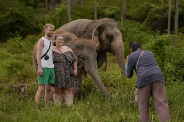 Half Day Elephant Home Sanctuary in Samui