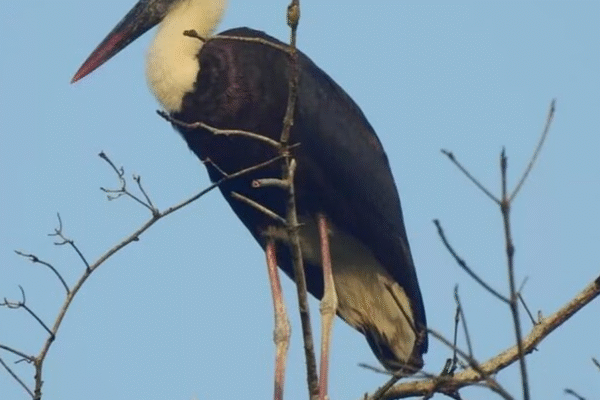 3-Day Ujung Kulon National Park Private Guided Tour