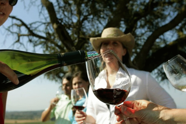 Wine Tour and Santiago City in a Small Group