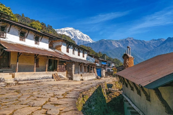 Siklis Trek
