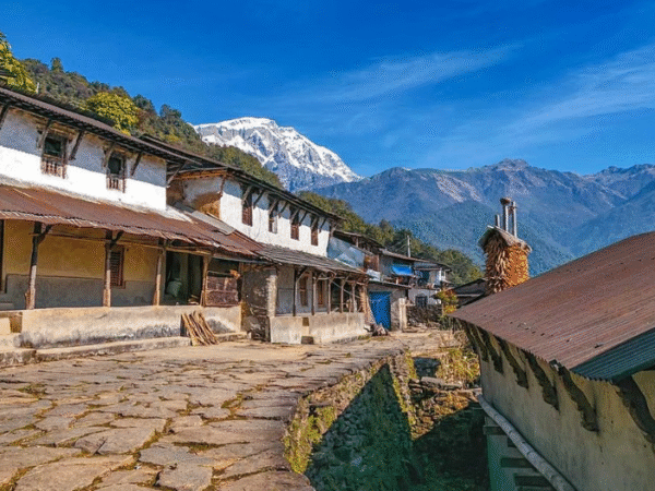 Siklis Trek