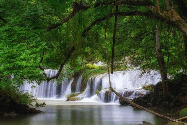 6 days Trekking Camp in Umphang