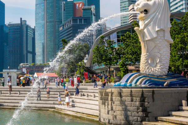 4 hours Private City tour