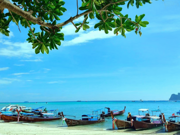 Phuket’s Top Tours DISCOUNTED plus Return Airport Transfers