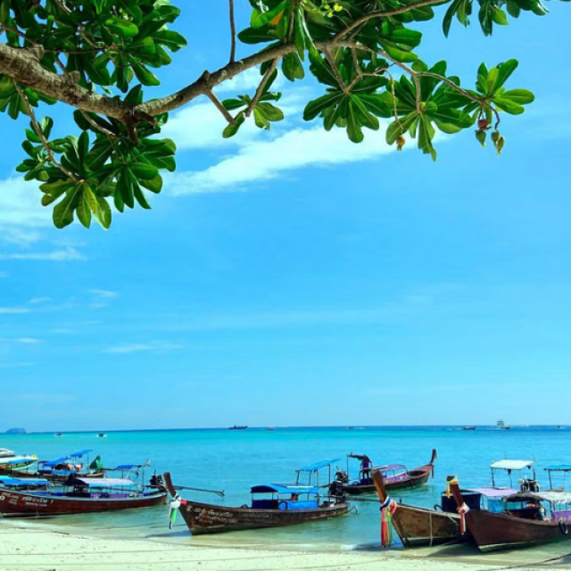 Phuket’s Top Tours DISCOUNTED plus Return Airport Transfers