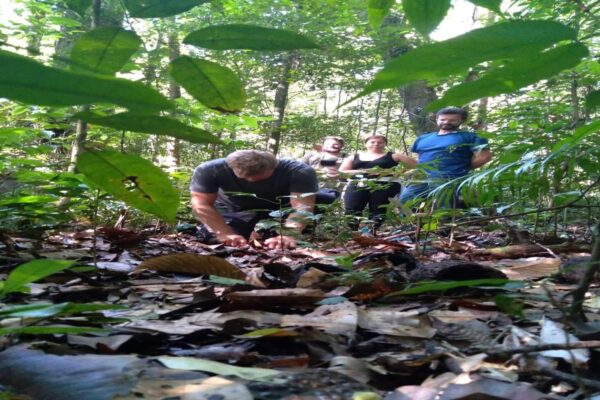 GOOD MORNING Amazon! Jungle Sleep Over Tour 2 days and 1 night tour