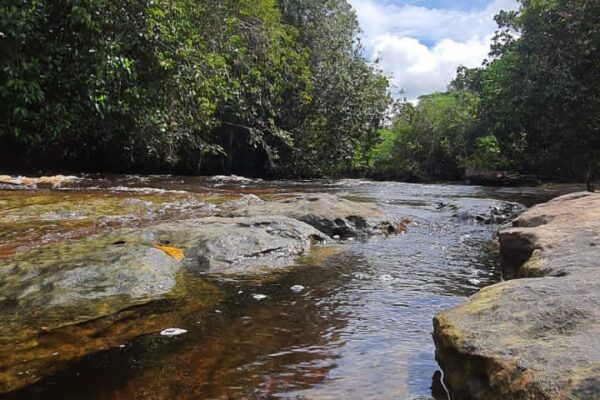 Jungle Grand Adventure Tour 4 days and 3 nights