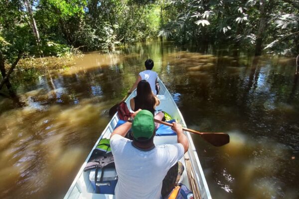 Tour in the Anavilhanas archipelago
