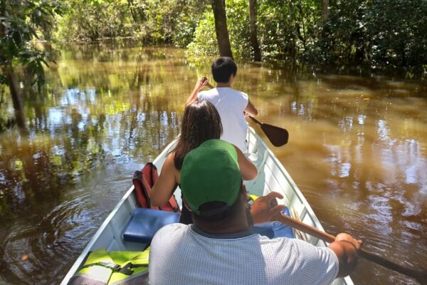 Tour in the Anavilhanas archipelago