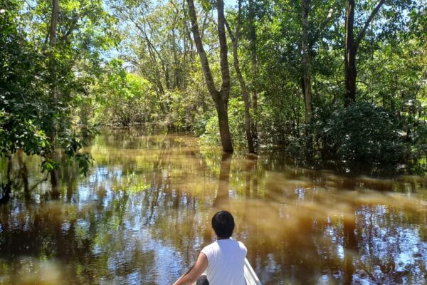 Tour in the Anavilhanas archipelago