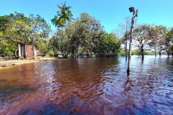 Tour in the Anavilhanas archipelago