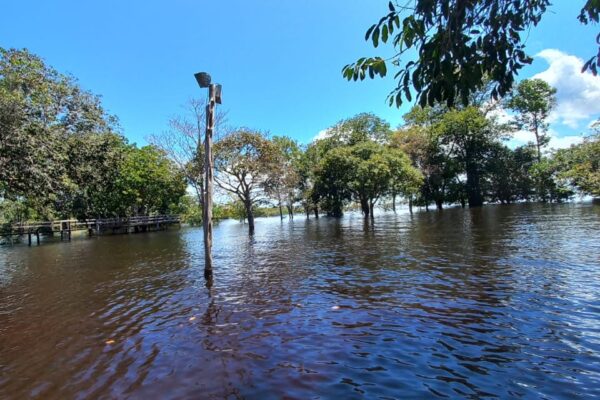 Tour in the Anavilhanas archipelago