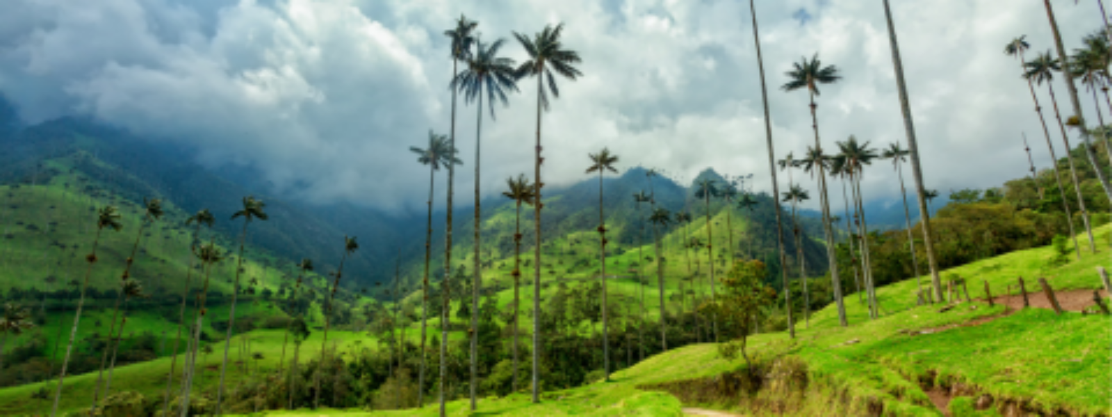 Colombia