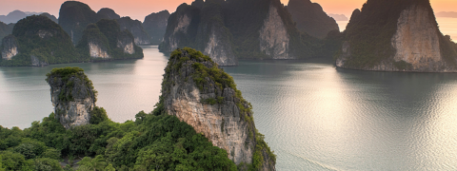 Hạ Long
