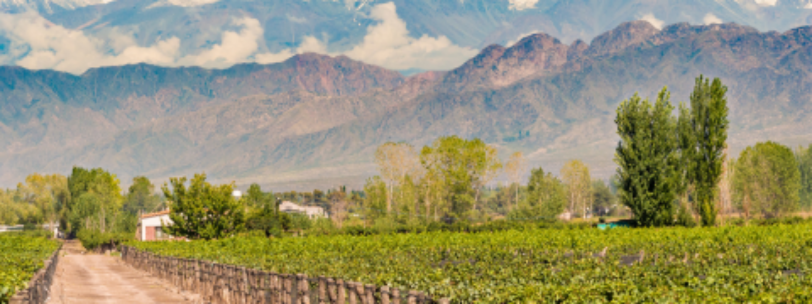 Mendoza