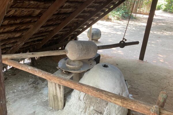 Vila Paraiso Rubber Plantation Museum