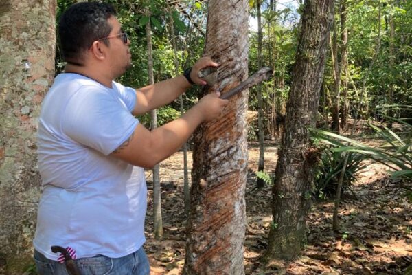 Vila Paraiso Rubber Plantation Museum