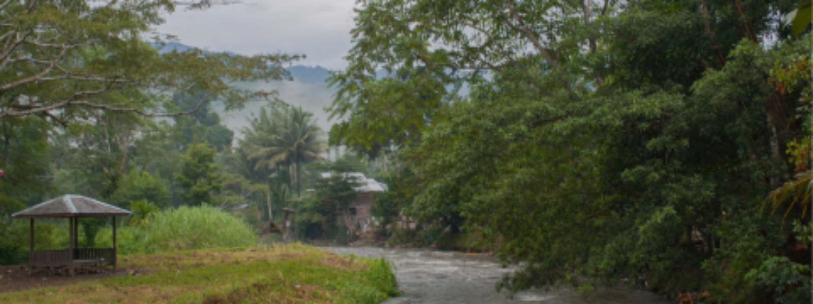 Mutungo