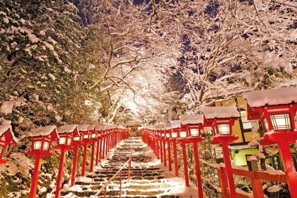 Kansai Airport(KIX) to/from Osaka or Kyoto city Private Transfer