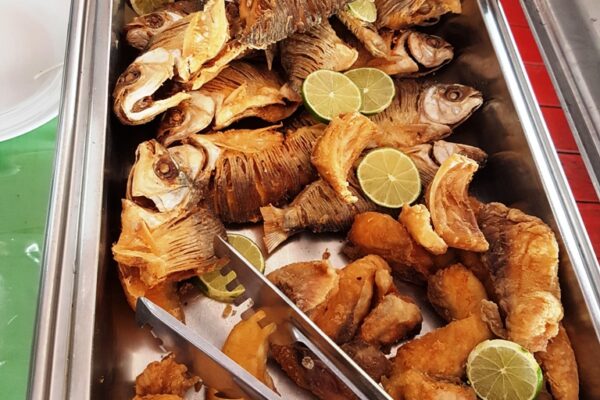 Combo Tour: SWIMMING WITH BOTOS + INDIGENOUS VILLAGE + MEETING OF THE WATERS