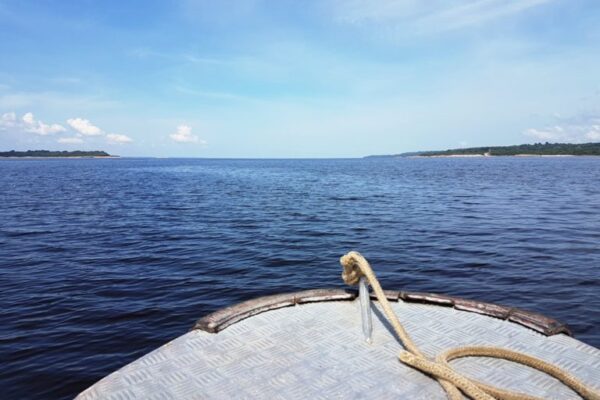 Tour in the Anavilhanas archipelago