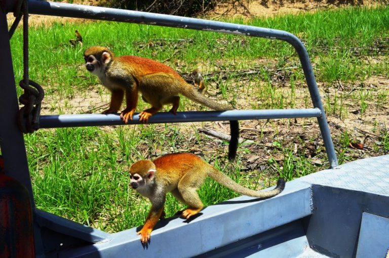 ????????????????????????????????????