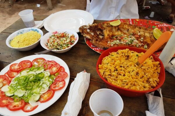 Tour in the Anavilhanas archipelago