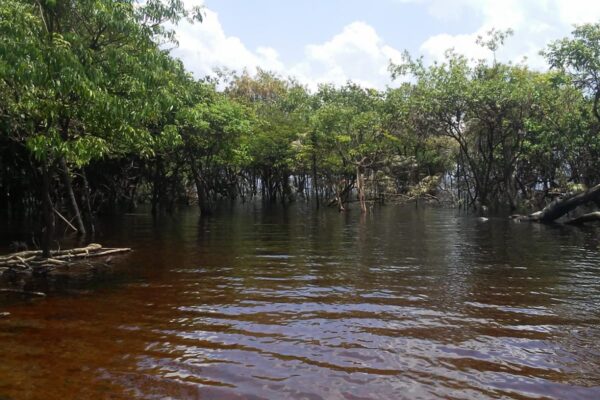 Tour in the Anavilhanas archipelago