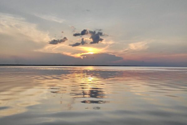 Tour in the Anavilhanas archipelago