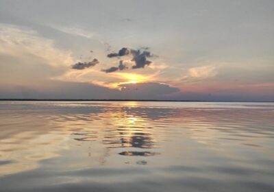 Tour in the Anavilhanas archipelago