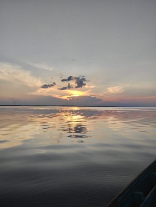 Tour in the Anavilhanas archipelago