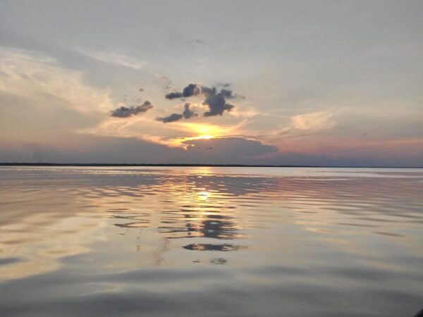 Tour in the Anavilhanas archipelago