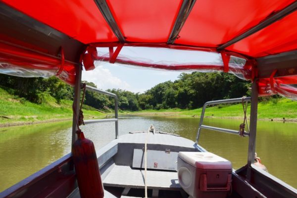 Tour in the Anavilhanas archipelago