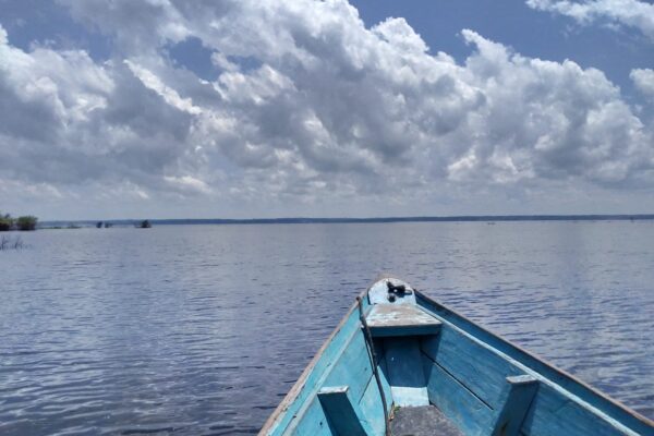 Tour in the Anavilhanas archipelago