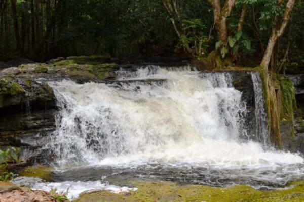 Amazon Waterfalls Presidente Figueiredo